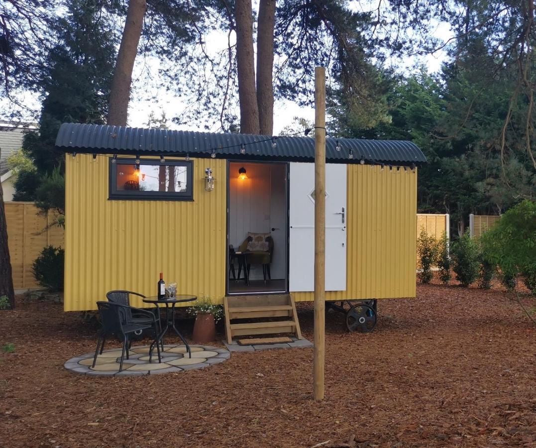 Forest Heath Shepherd'S Huts Ringwood Exteriör bild