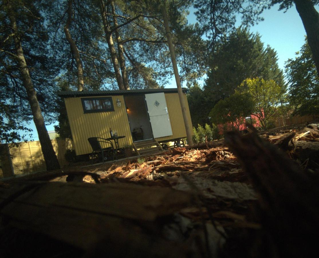 Forest Heath Shepherd'S Huts Ringwood Exteriör bild
