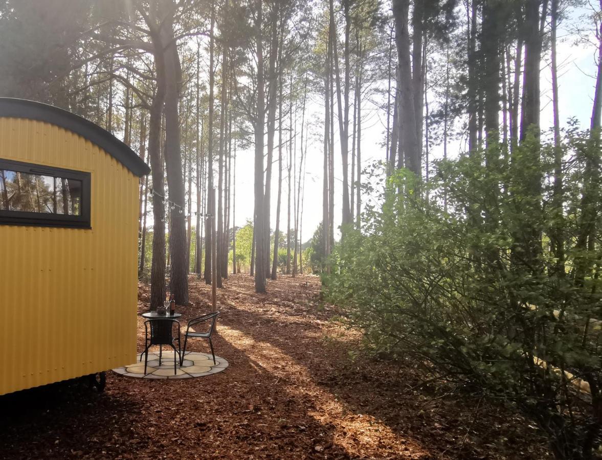 Forest Heath Shepherd'S Huts Ringwood Exteriör bild