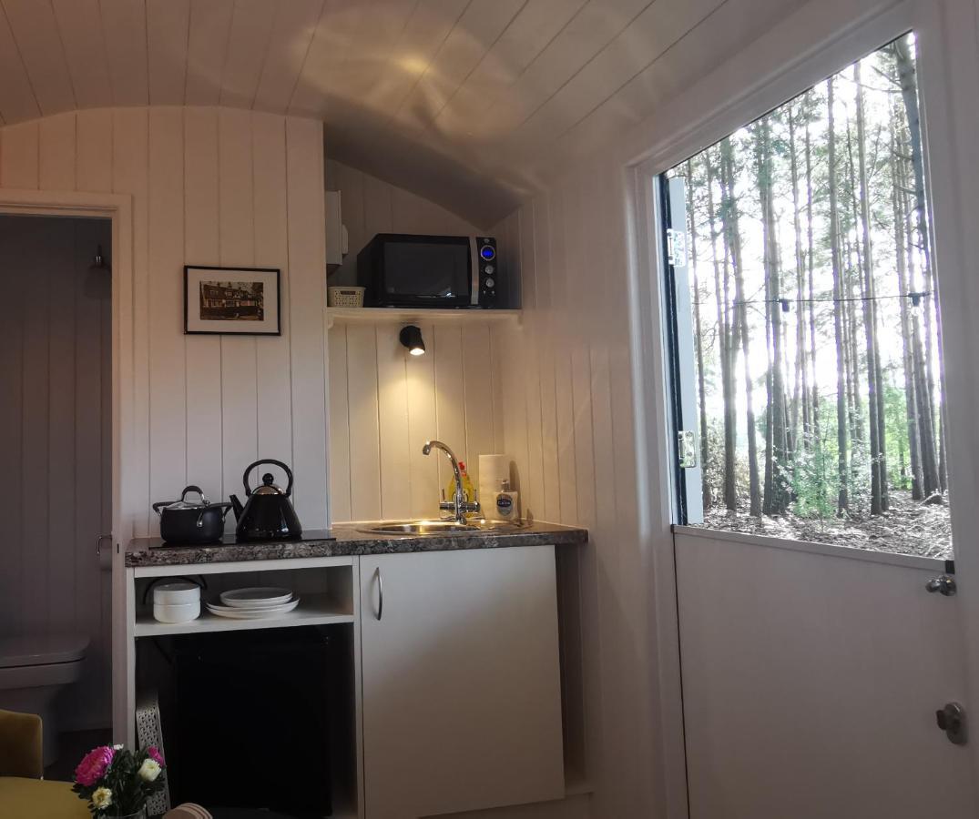 Forest Heath Shepherd'S Huts Ringwood Exteriör bild