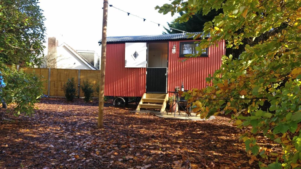 Forest Heath Shepherd'S Huts Ringwood Exteriör bild