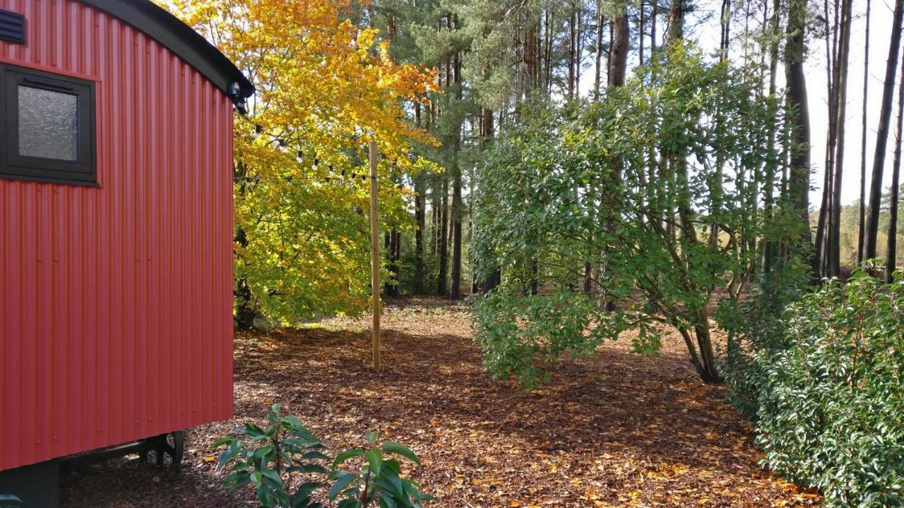 Forest Heath Shepherd'S Huts Ringwood Exteriör bild