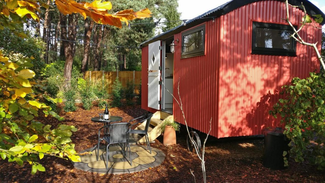 Forest Heath Shepherd'S Huts Ringwood Exteriör bild