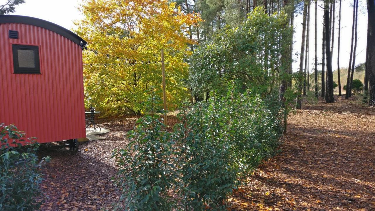 Forest Heath Shepherd'S Huts Ringwood Exteriör bild