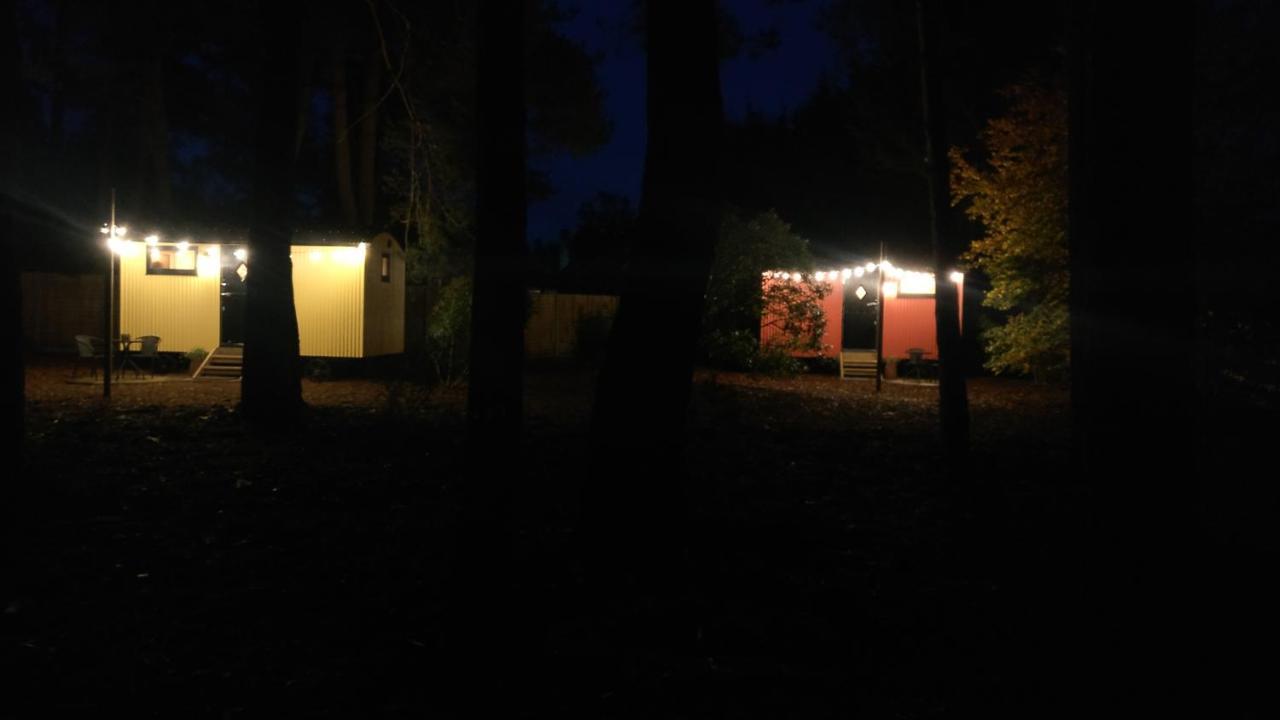 Forest Heath Shepherd'S Huts Ringwood Exteriör bild